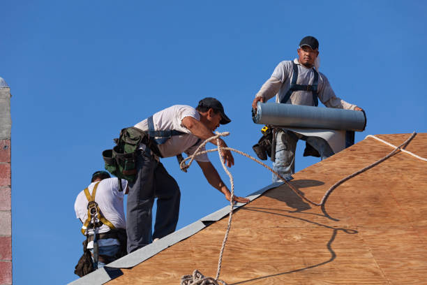 Best Roof Gutter Cleaning  in Lockland, OH